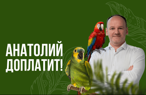 🔥Анатолий доплатит! Попугайня от 11р в Малиновке